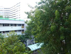 Blk 626 Hougang Avenue 8 (Hougang), HDB 3 Rooms #139501232